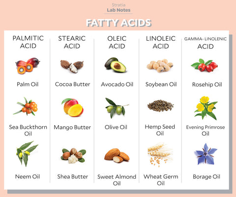 Ingredient Arachidic Acid