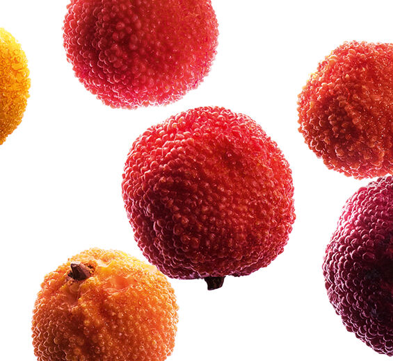 Ingredient Arbutus Unedo Fruit Extract