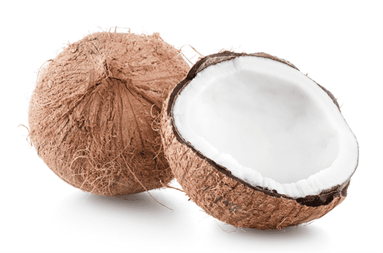 Ingredient Caprylic Acid