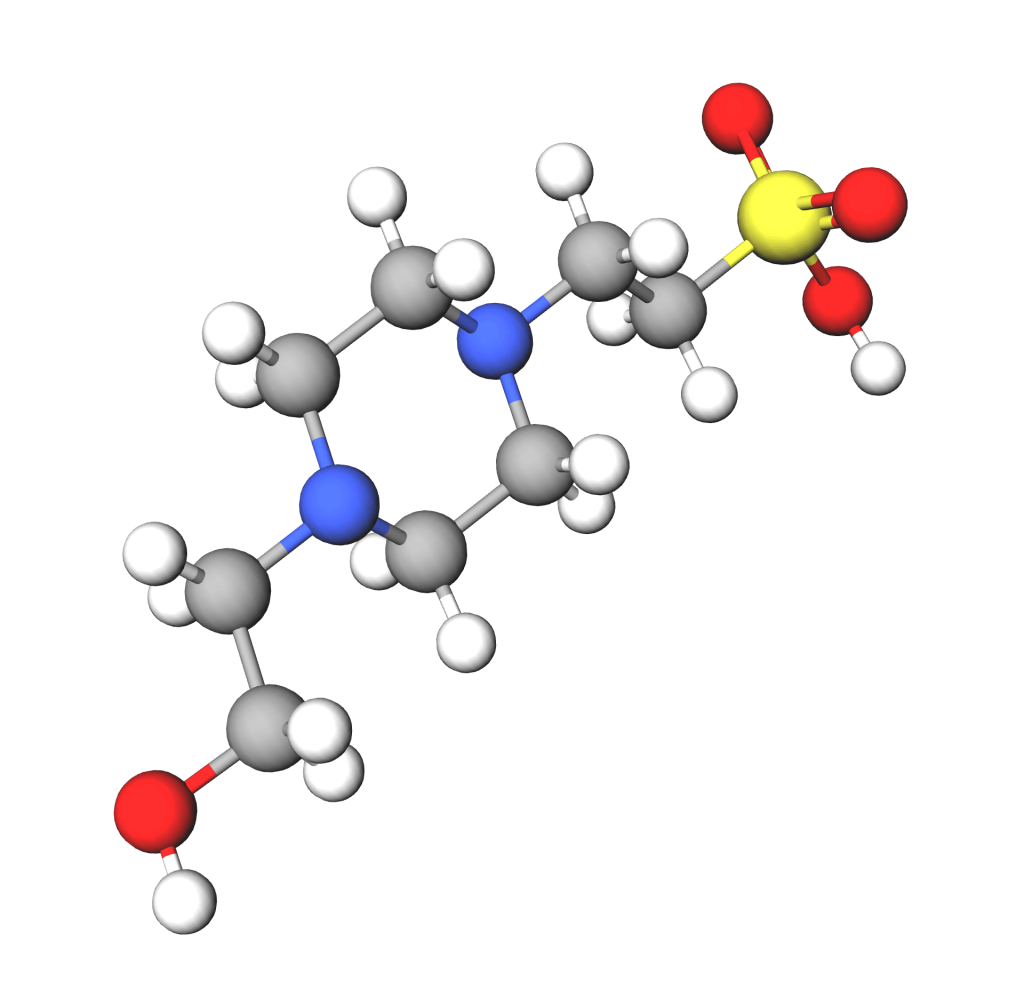 Ingredient Hydroxyethylpiperazine Ethane Sulfonic Acid