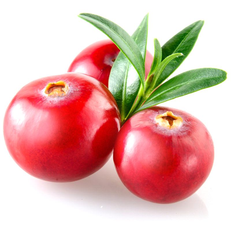 Ingredient Vaccinium Macrocarpon Cranberry Seed Oil